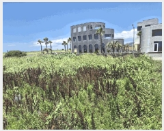  2025Ÿ��1433  �����