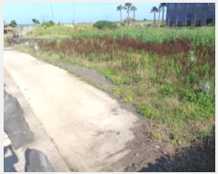  2025Ÿ��1433  �����