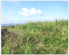  2025Ÿ��1433  �����