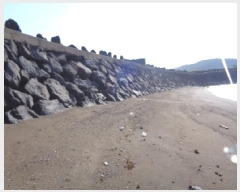  2025Ÿ��1433  �����