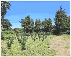  2025Ÿ��1442  �Ӿ߰��