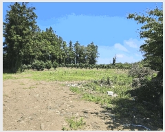  2025Ÿ��1442  �Ӿ߰��