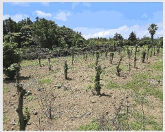  2025Ÿ��1442  �Ӿ߰��