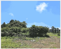  2025Ÿ��1442  �Ӿ߰��