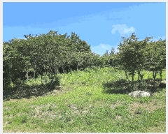  2025Ÿ��1442  �Ӿ߰��