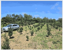  2025Ÿ��1442  �Ӿ߰��