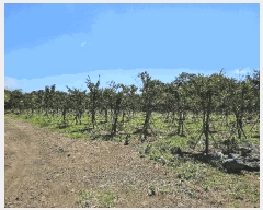  2025Ÿ��1442  �Ӿ߰��