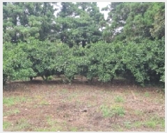  2025Ÿ��1469  ���������