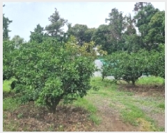  2025Ÿ��1469  ���������