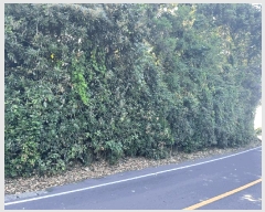  2025Ÿ��1469  ���������