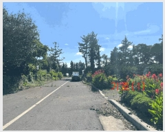  2025Ÿ��1469  ���������