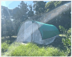  2025Ÿ��1469  ���������