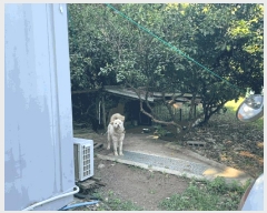  2025Ÿ��1469  ���������