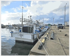  2025Ÿ��1487 ���� ���ֽ�         ���ڰ��