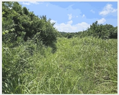  2025Ÿ��1523  �Ӿ߰��