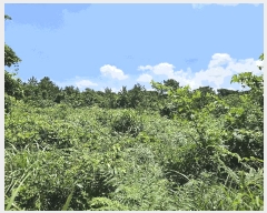  2025Ÿ��1523  �Ӿ߰��