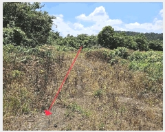  2025Ÿ��1523  �Ӿ߰��