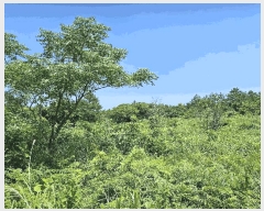  2025Ÿ��1523  �Ӿ߰��