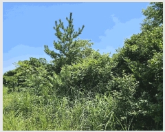  2025Ÿ��1523  �Ӿ߰��