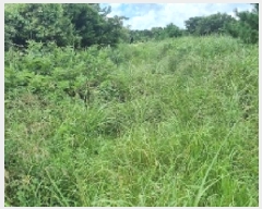  2025Ÿ��1523  �Ӿ߰��