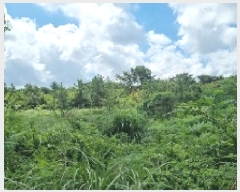  2025Ÿ��1523  �Ӿ߰��