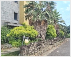  2025Ÿ��1542  �ٰ������ð��