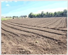  2025Ÿ��1597 ���� �������� ������ ���︮ 1248      ����(��1)���