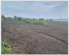  2025Ÿ��1597 ���� �������� ������ ���︮ 1248      ����(��1)���