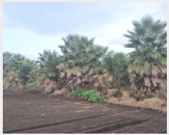  2025Ÿ��1597 ���� �������� ������ ���︮ 1248      ����(��1)���