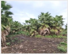  2025Ÿ��1597 ���� �������� ������ ���︮ 1248      ����(��1)���