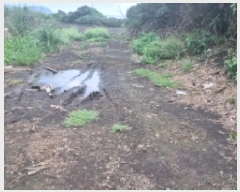  2025Ÿ��1597 ���� �������� ������ ���︮ 1248      ����(��1)���