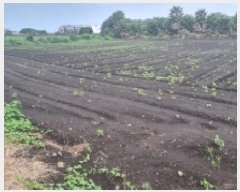  2025Ÿ��1597 ���� �������� ������ ���︮ 1248      ����(��1)���