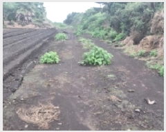  2025Ÿ��1597 ���� �������� ������ ���︮ 1248      ����(��1)���