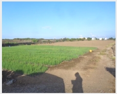  2025Ÿ��1605  �����