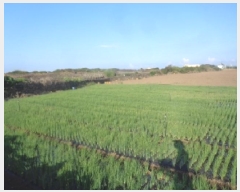  2025Ÿ��1605  �����