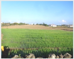  2025Ÿ��1605  �����