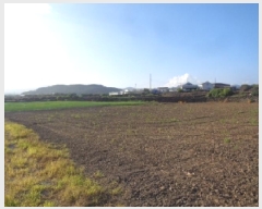  2025Ÿ��1605  �����