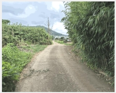  2025Ÿ��1632 ���� ���ֽ� �Ѹ��� �ݾǸ� 3012      ����(��1)���