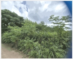  2025Ÿ��1632 ���� ���ֽ� �Ѹ��� �ݾǸ� 3012      ����(��1)���