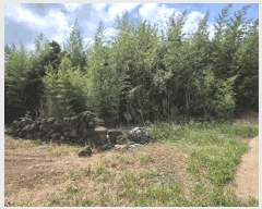  2025Ÿ��1632 ���� ���ֽ� �Ѹ��� �ݾǸ� 3012      ����(��1)���