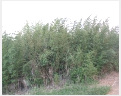  2025Ÿ��1632 ���� ���ֽ� �Ѹ��� �ݾǸ� 3012      ����(��1)���