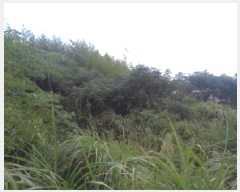  2025Ÿ��1632 ���� ���ֽ� �Ѹ��� �ݾǸ� 3012      ����(��1)���