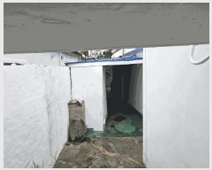  2025Ÿ��1643 ���� ���ֽ� ����̵� 2685-4       ���ð��