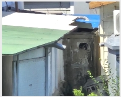  2025Ÿ��1643 ���� ���ֽ� ����̵� 2685-4       ���ð��