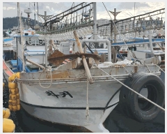  2025Ÿ��1723 ���ֽ� �Ѱ��         ���ڰ��