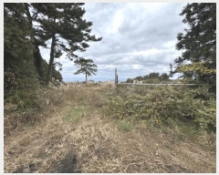  2025Ÿ��1949  �����