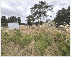  2025Ÿ��1949  �����