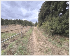  2025Ÿ��1949  �����