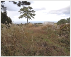  2025Ÿ��1949  �����