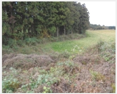  2025Ÿ��1949  �����